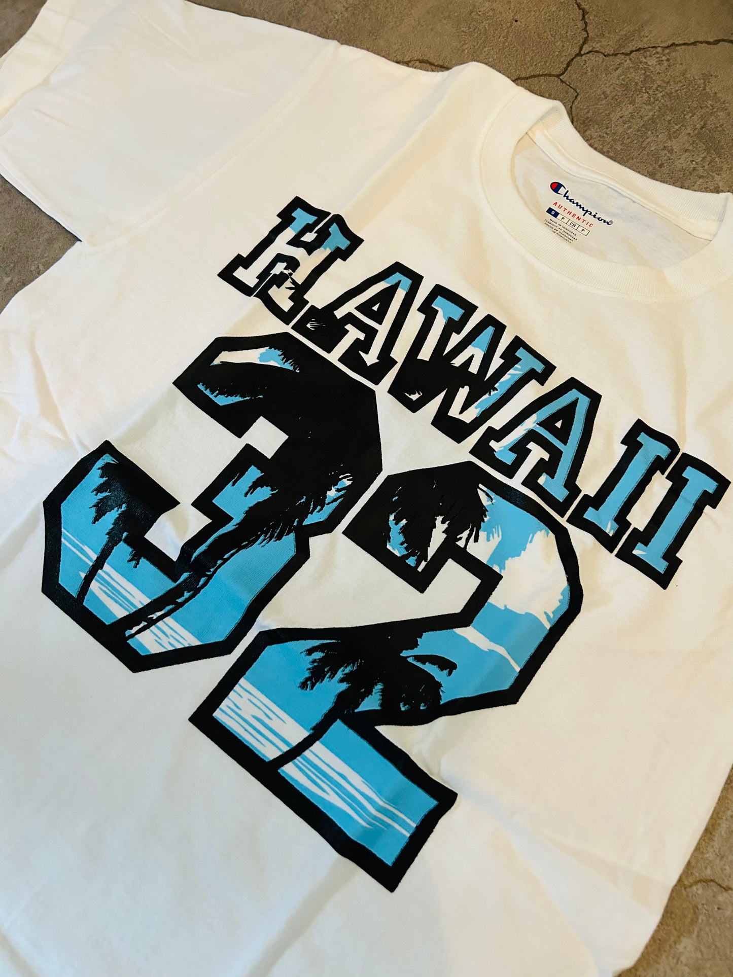 hawaii32 champion × chase