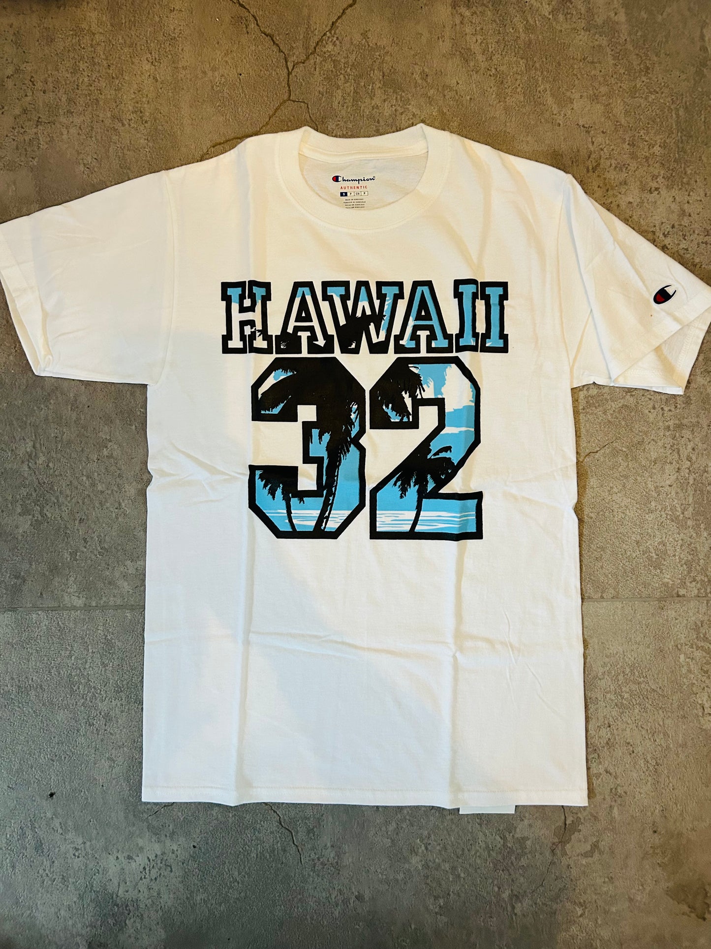 hawaii32 champion × chase